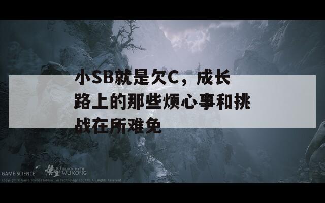 小SB就是欠C，成长路上的那些烦心事和挑战在所难免
