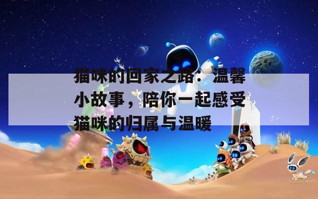 猫咪的回家之路：温馨小故事，陪你一起感受猫咪的归属与温暖