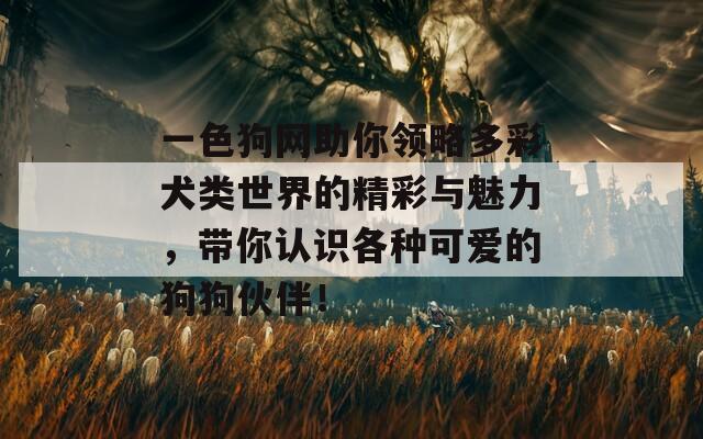 一色狗网助你领略多彩犬类世界的精彩与魅力，带你认识各种可爱的狗狗伙伴！
