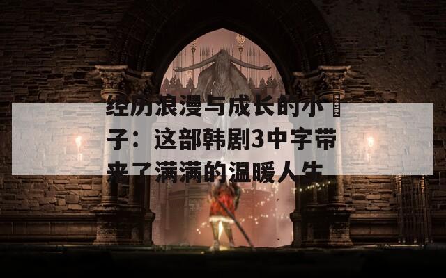 经历浪漫与成长的小峓子：这部韩剧3中字带来了满满的温暖人生