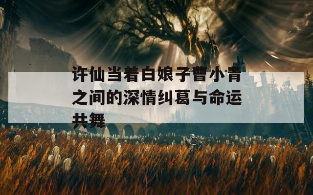 许仙当着白娘子曹小青之间的深情纠葛与命运共舞