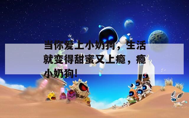 当你爱上小奶狗，生活就变得甜蜜又上瘾，瘾小奶狗!