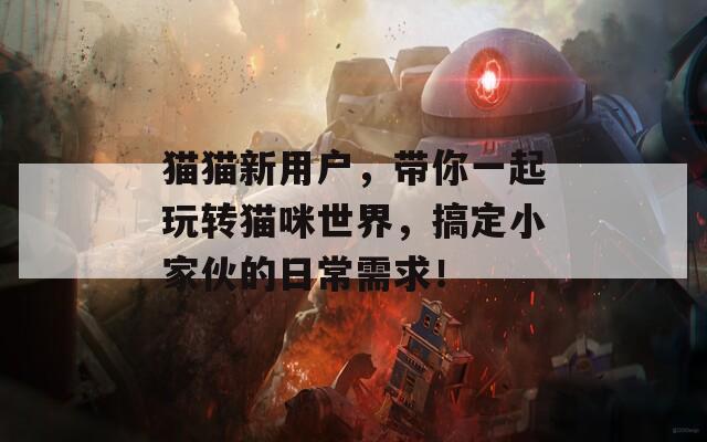 猫猫新用户，带你一起玩转猫咪世界，搞定小家伙的日常需求！