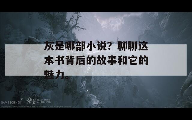 灰是哪部小说？聊聊这本书背后的故事和它的魅力。