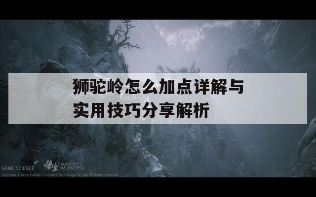 狮驼岭怎么加点详解与实用技巧分享解析