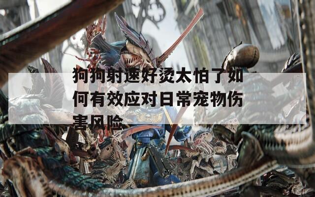 狗狗射速好烫太怕了如何有效应对日常宠物伤害风险