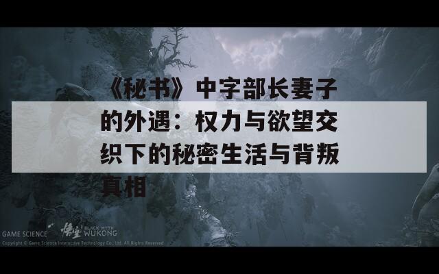 《秘书》中字部长妻子的外遇：权力与欲望交织下的秘密生活与背叛真相