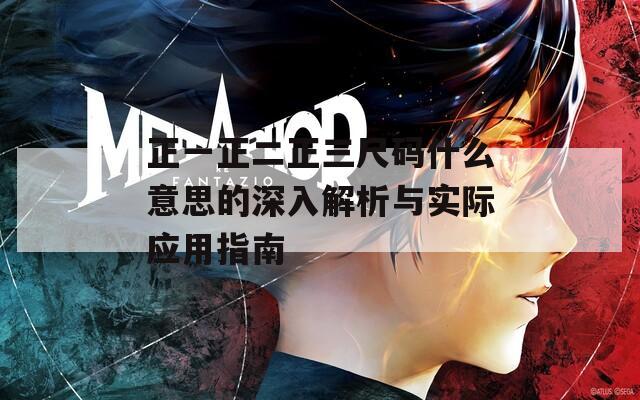 正一正二正三尺码什么意思的深入解析与实际应用指南