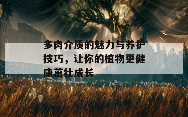 多肉介质的魅力与养护技巧，让你的植物更健康茁壮成长