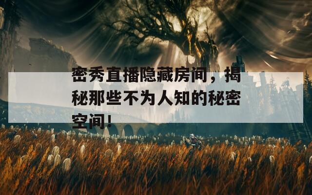 密秀直播隐藏房间，揭秘那些不为人知的秘密空间！