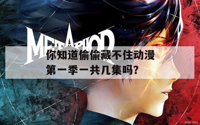 你知道偷偷藏不住动漫第一季一共几集吗？