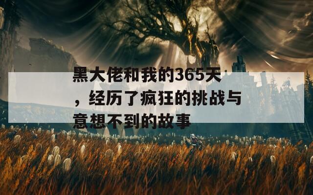 黑大佬和我的365天，经历了疯狂的挑战与意想不到的故事