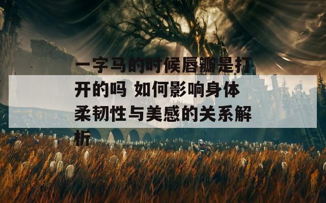 一字马的时候唇瓣是打开的吗 如何影响身体柔韧性与美感的关系解析