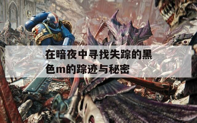 在暗夜中寻找失踪的黑色m的踪迹与秘密