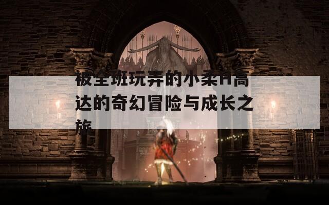 被全班玩弄的小柔H高达的奇幻冒险与成长之旅