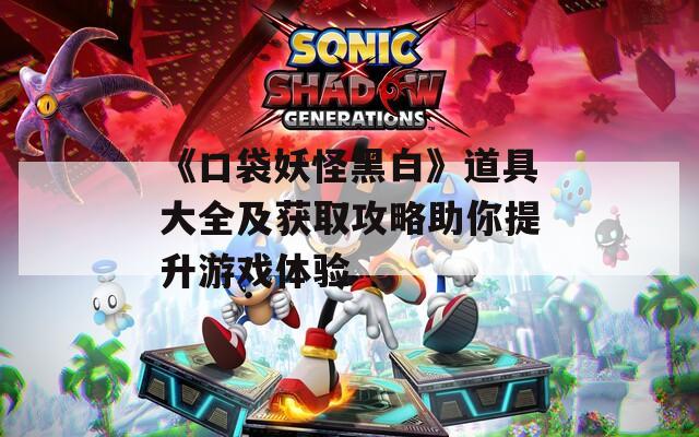 《口袋妖怪黑白》道具大全及获取攻略助你提升游戏体验