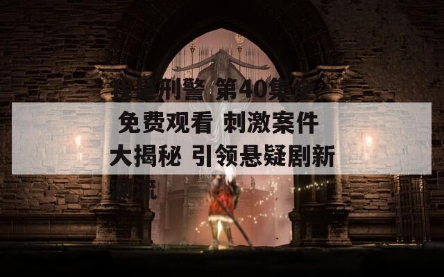 我是刑警 第40集全 免费观看 刺激案件大揭秘 引领悬疑剧新潮流