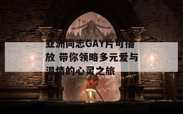 亚洲同志GAY片可播放 带你领略多元爱与温情的心灵之旅