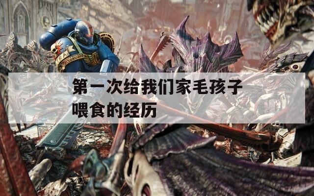 第一次给我们家毛孩子喂食的经历