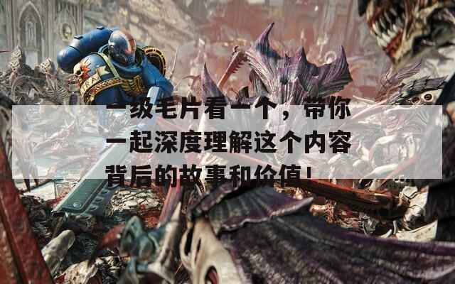 一级毛片看一个，带你一起深度理解这个内容背后的故事和价值！