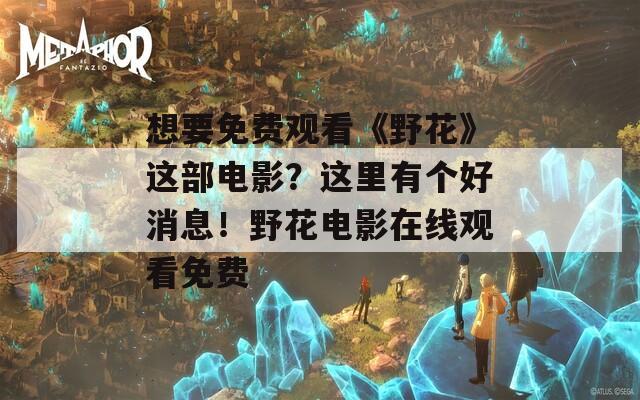 想要免费观看《野花》这部电影？这里有个好消息！野花电影在线观看免费