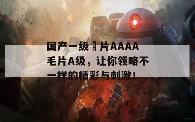 国产一级婬片AAAA毛片A级，让你领略不一样的精彩与刺激！