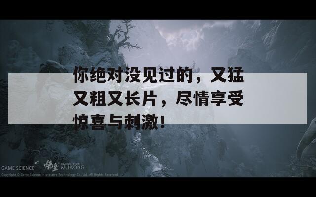 你绝对没见过的，又猛又粗又长片，尽情享受惊喜与刺激！