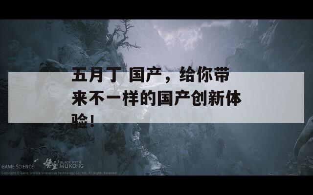 五月丁 国产，给你带来不一样的国产创新体验！
