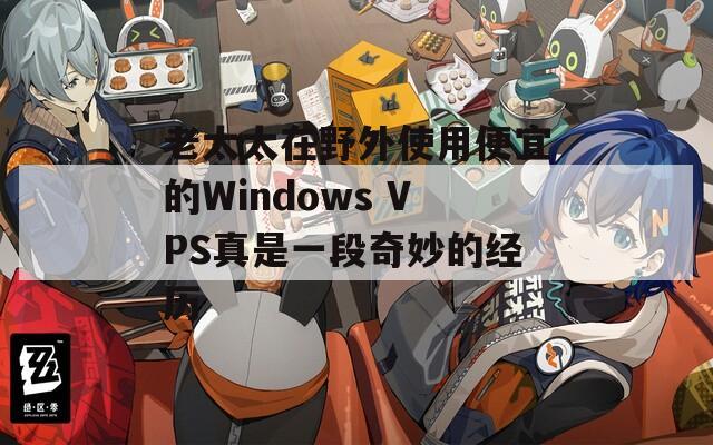 老太太在野外使用便宜的Windows VPS真是一段奇妙的经历