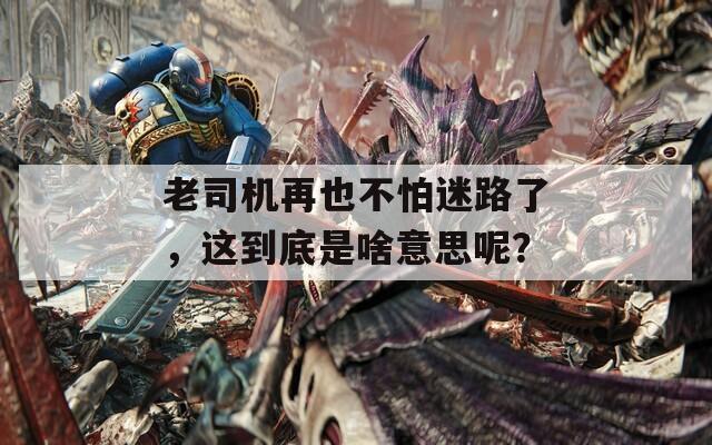 老司机再也不怕迷路了，这到底是啥意思呢？