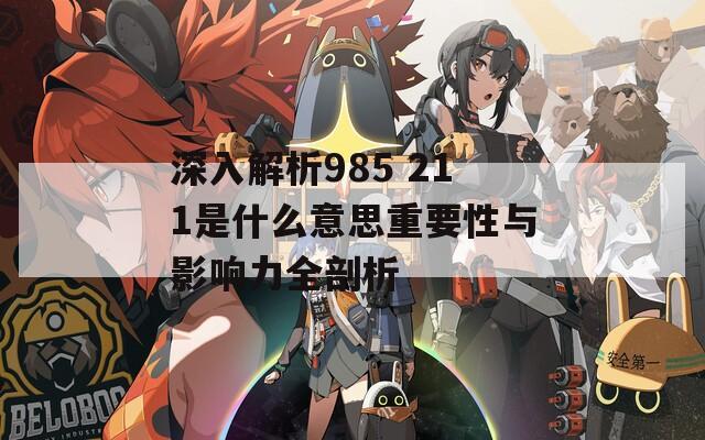 深入解析985 211是什么意思重要性与影响力全剖析