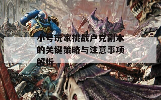 小号玩家挑战卢克副本的关键策略与注意事项解析