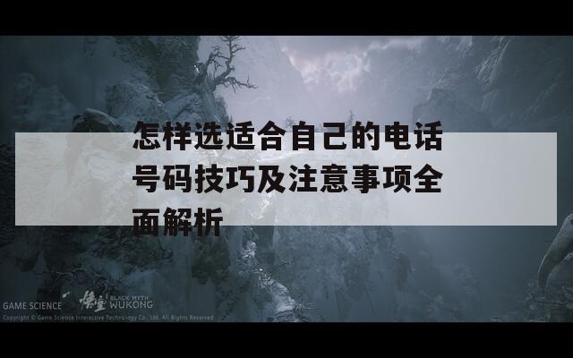 怎样选适合自己的电话号码技巧及注意事项全面解析