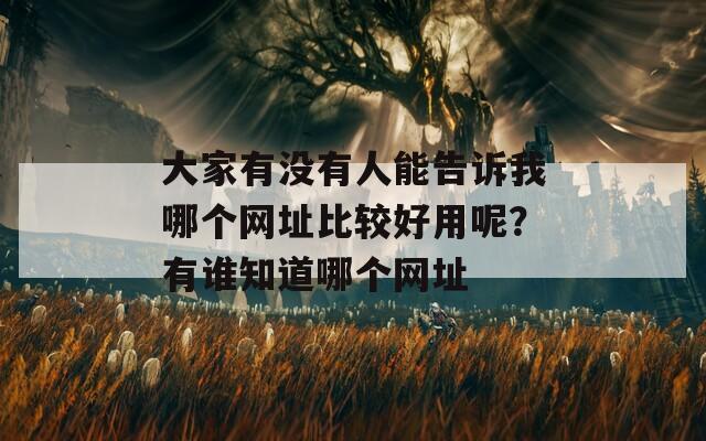 大家有没有人能告诉我哪个网址比较好用呢？有谁知道哪个网址