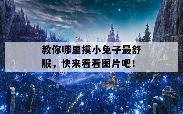 教你哪里摸小兔子最舒服，快来看看图片吧！