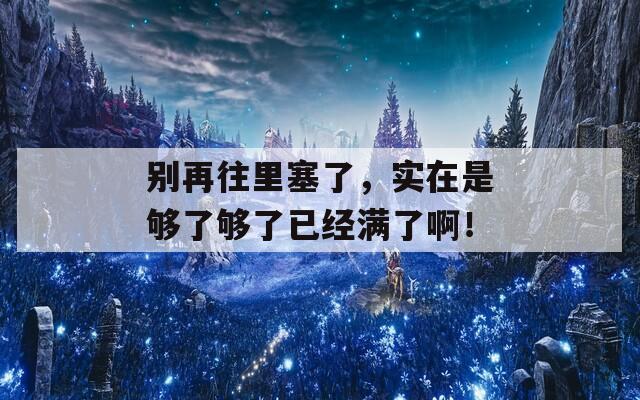 别再往里塞了，实在是够了够了已经满了啊！
