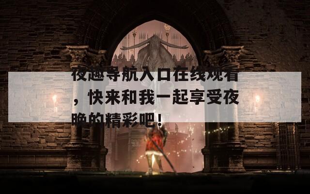 夜趣导航入口在线观看，快来和我一起享受夜晚的精彩吧！