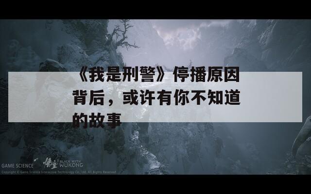 《我是刑警》停播原因背后，或许有你不知道的故事