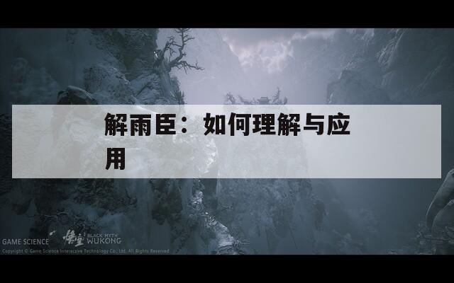 解雨臣：如何理解与应用