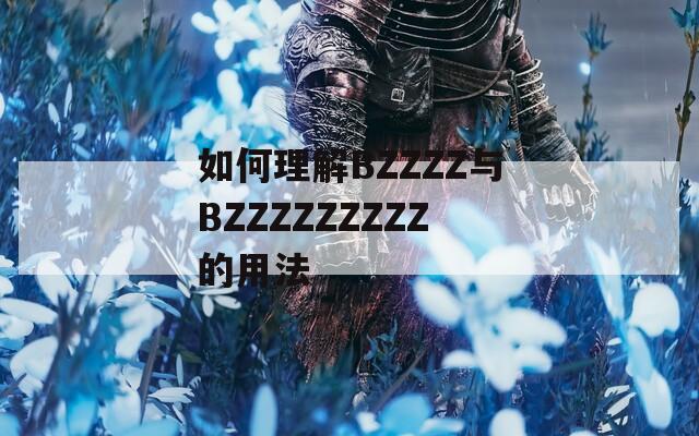 如何理解BZZZZ与BZZZZZZZZZ的用法