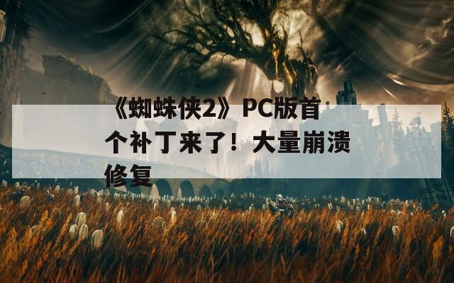 《蜘蛛侠2》PC版首个补丁来了！大量崩溃修复