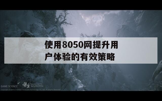 使用8050网提升用户体验的有效策略