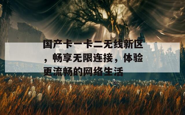 国产卡一卡二无线新区，畅享无限连接，体验更流畅的网络生活