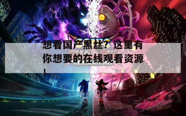 想看国产黑丝？这里有你想要的在线观看资源！
