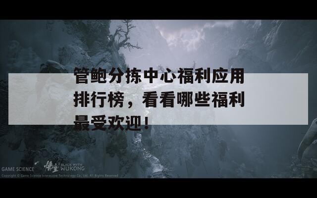 管鲍分拣中心福利应用排行榜，看看哪些福利最受欢迎！