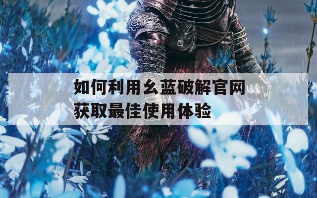 如何利用幺蓝破解官网获取最佳使用体验