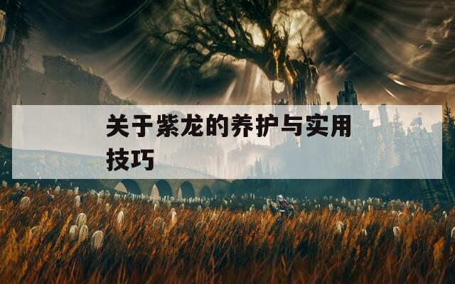 关于紫龙的养护与实用技巧
