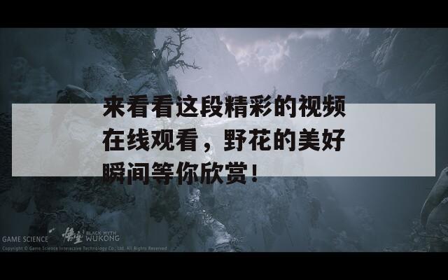 来看看这段精彩的视频在线观看，野花的美好瞬间等你欣赏！