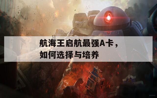 航海王启航最强A卡，如何选择与培养