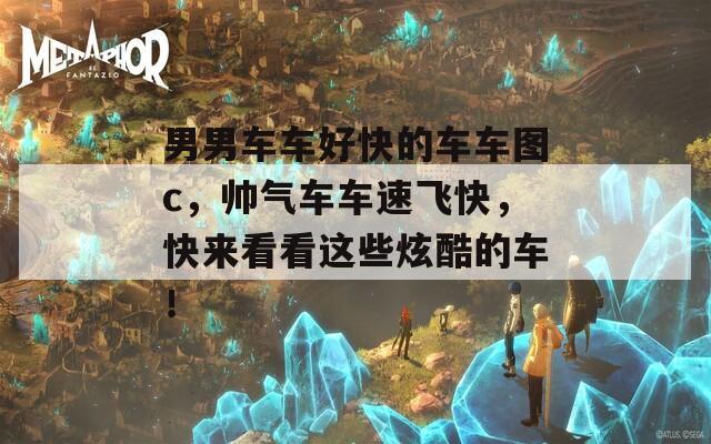 男男车车好快的车车图c，帅气车车速飞快，快来看看这些炫酷的车！